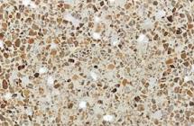 TERRAZZO C42