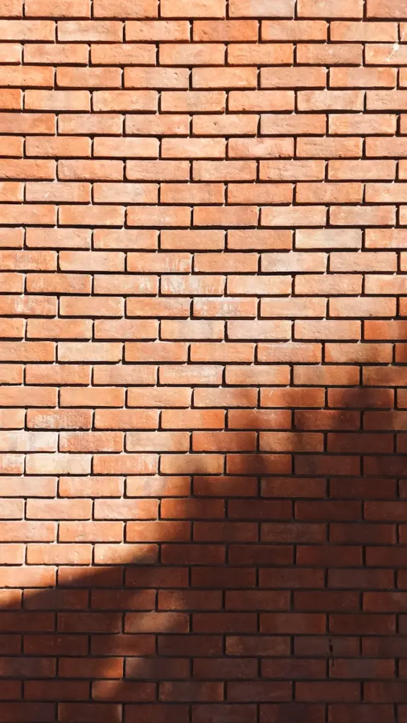 A shadow of a person on a brick wall